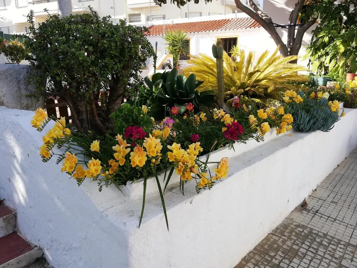 Apartamentos A Cerca Λάγος 0*,